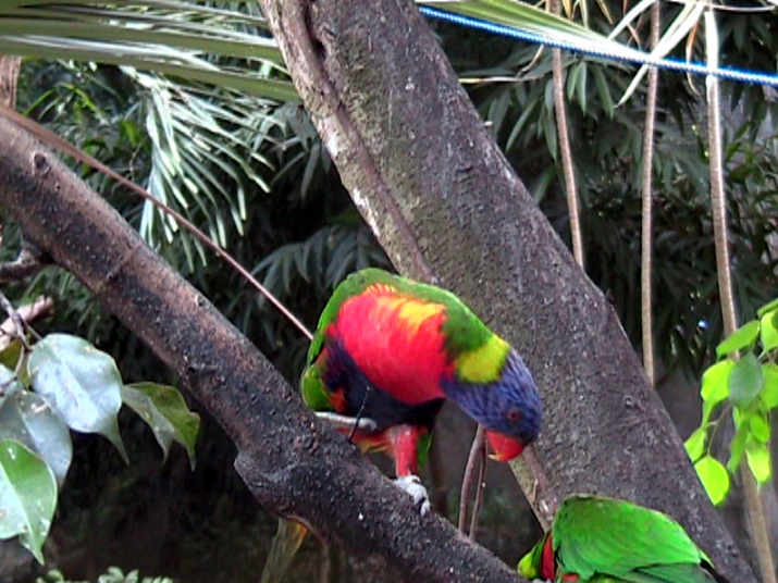 21a - Jardin Tropical 016.jpg